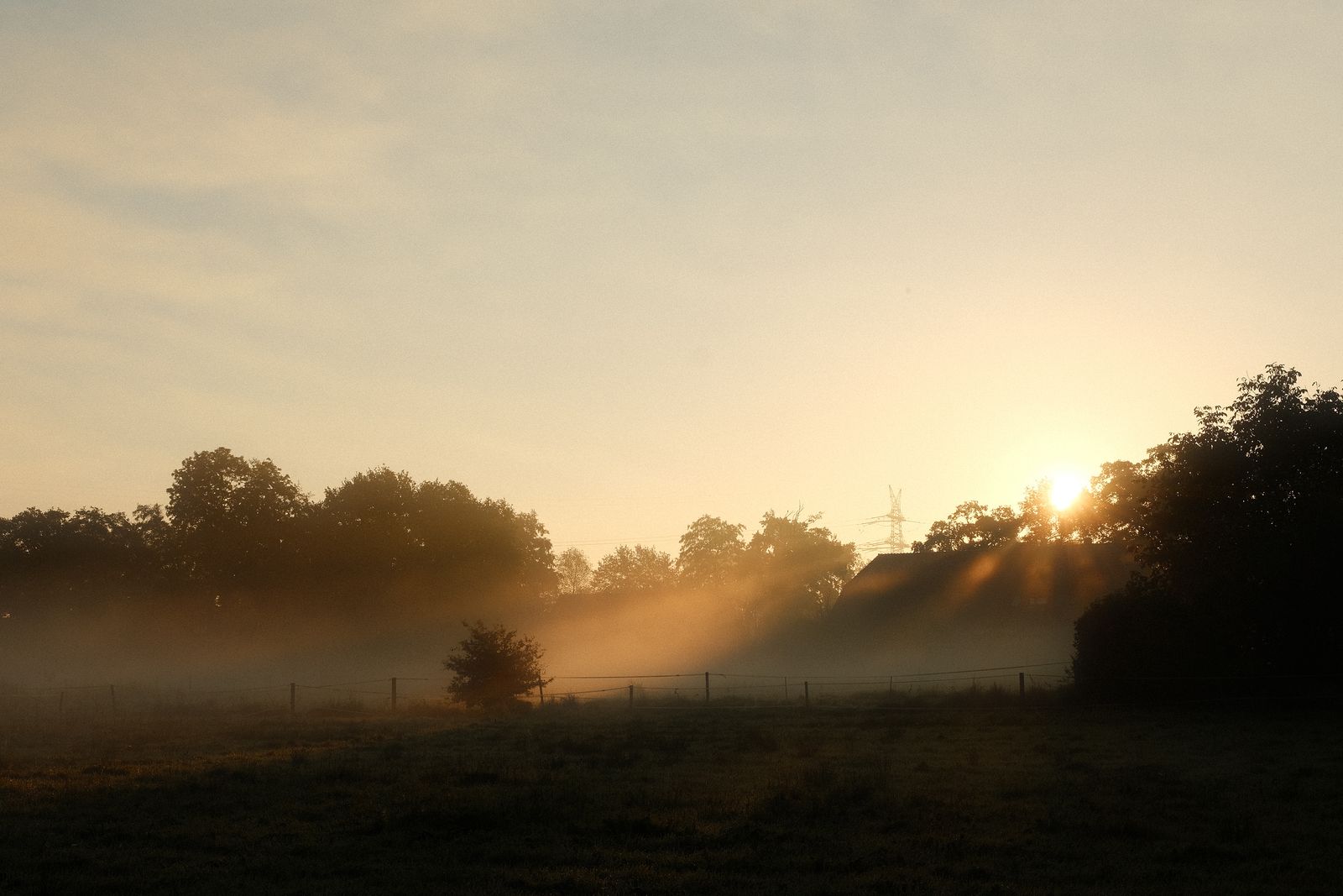 A rural sunrise with mist and golden light filtering through trees