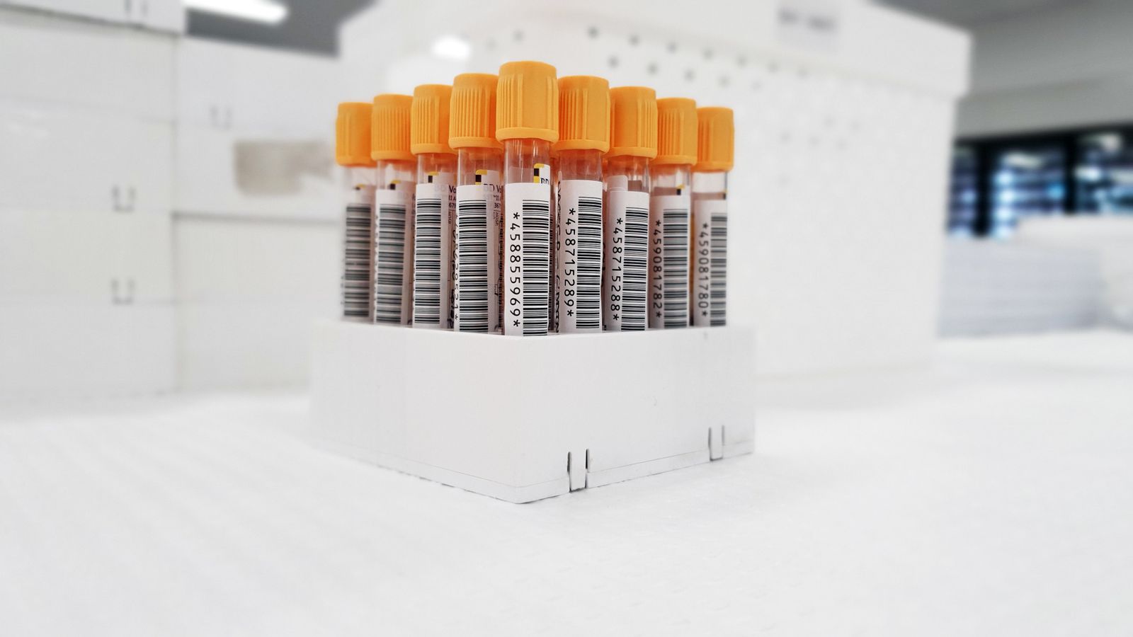 Blood sample tubes arranged for laboratory testing